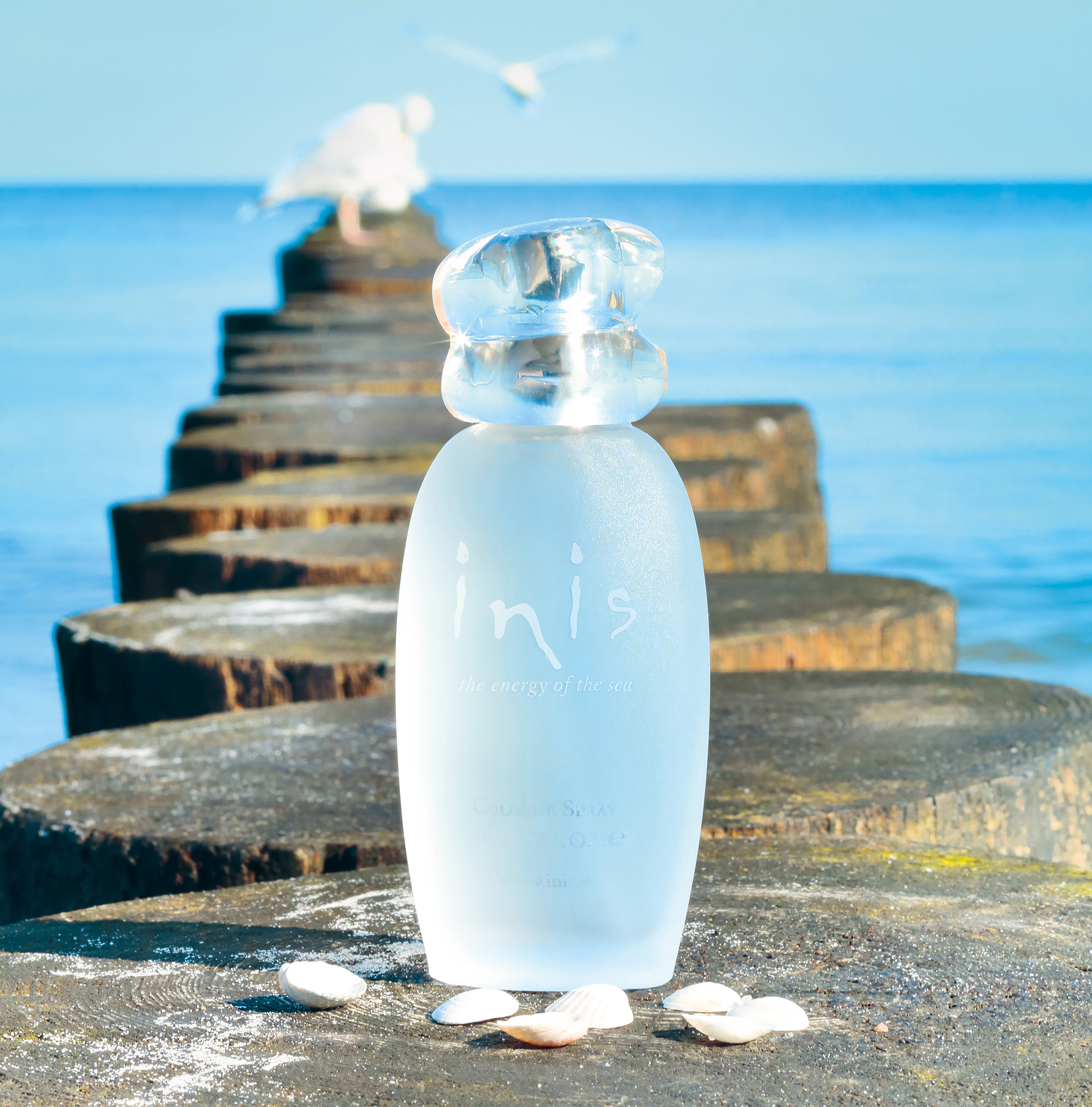 Cache Cologne Fragrance | Perfume | Cocoa Boutique